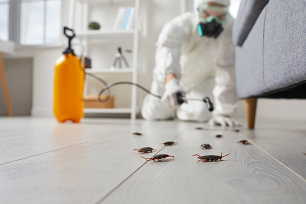 Trusted Emergency Pest Control service in New Hempstead, NY - Nex Pest Control