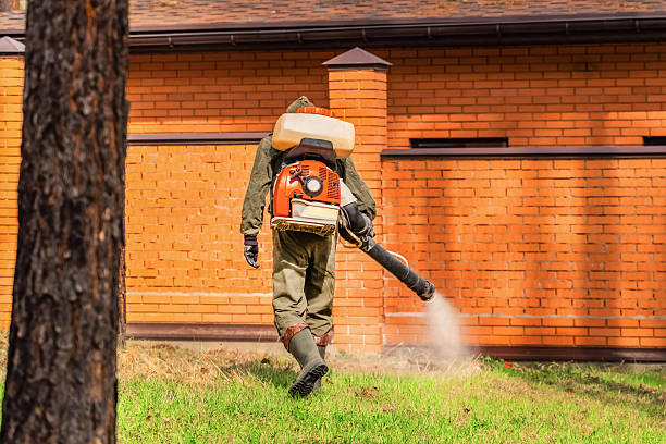 Trusted Ant Control service in New Hempstead, NY - Nex Pest Control
